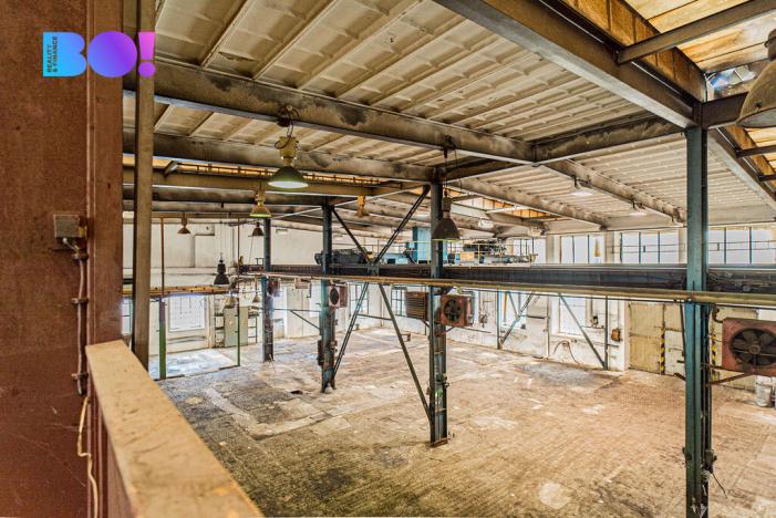 Prodej výrobních prostor, Frýdlant nad Ostravicí, 1147 m2