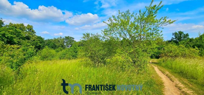 Prodej pozemku pro bydlení, Brno, Sedlička, 11538 m2