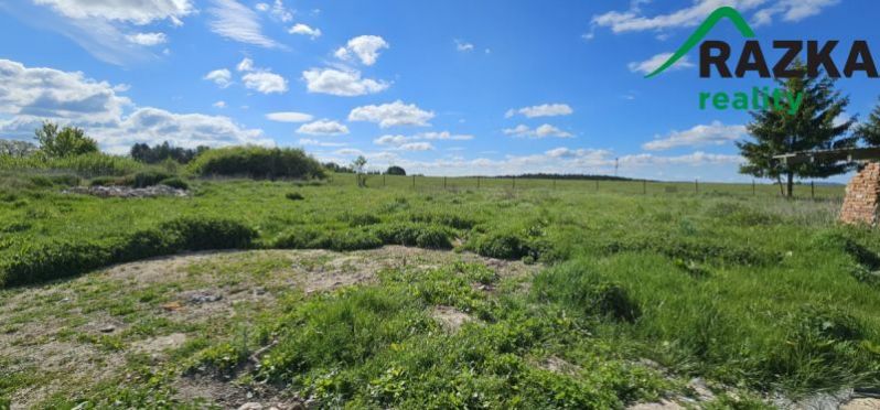 Prodej rodinného domu, Bor, Nový Dvůr, 192 m2