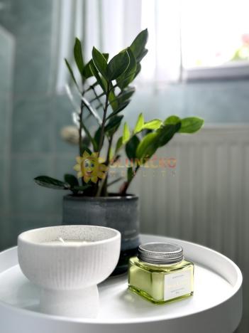 Prodej rodinného domu, Hradec Králové - Pouchov, K Zastávce, 188 m2