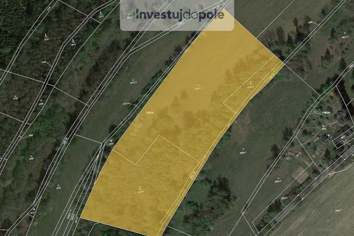 Prodej louky, Semily, 11850 m2