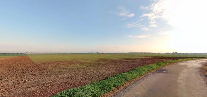 Prodej pole, Dolní Bezděkov, 7705 m2