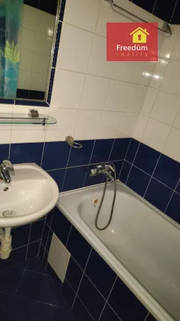 Pronájem bytu 1+1, Duchcov, Družby, 35 m2