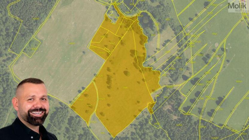 Prodej louky, Hora Svaté Kateřiny, 68862 m2