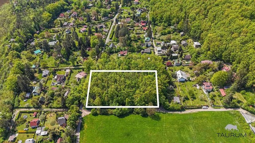 Prodej lesa, Petrov, 6490 m2