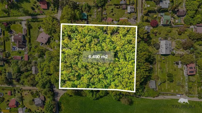 Prodej lesa, Petrov, 6490 m2