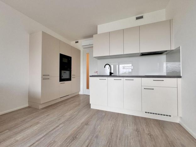 Pronájem bytu 1+kk, Praha - Žižkov, Malešická, 40 m2