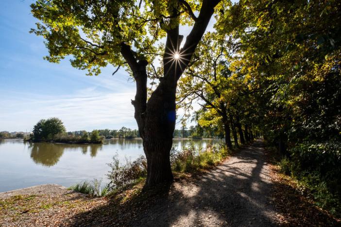 Prodej bytu 4+kk, České Budějovice, M. Horákové, 154 m2