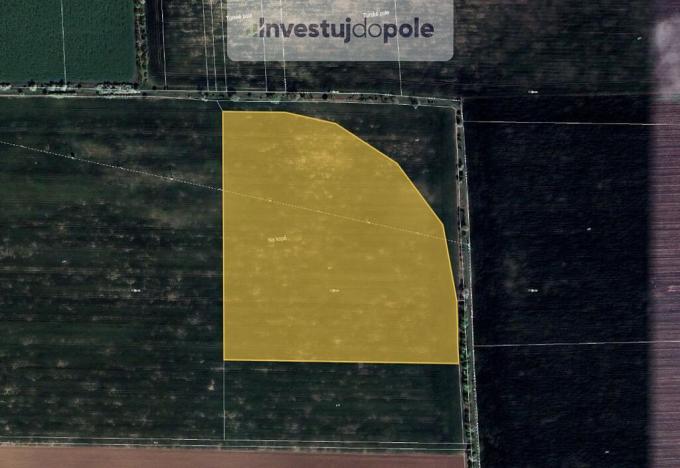 Prodej pole, Holubice - Kozinec, 10992 m2