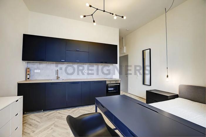 Pronájem bytu 1+kk, Brno, Vlhká, 27 m2