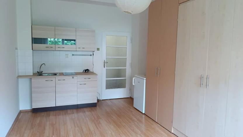 Pronájem bytu 1+kk, Praha - Košíře, Vrchlického, 23 m2