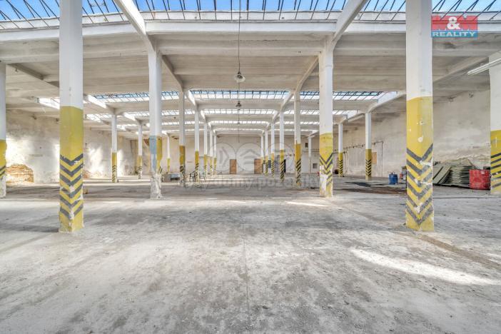 Prodej obchodního prostoru, Červená Voda, 1500 m2