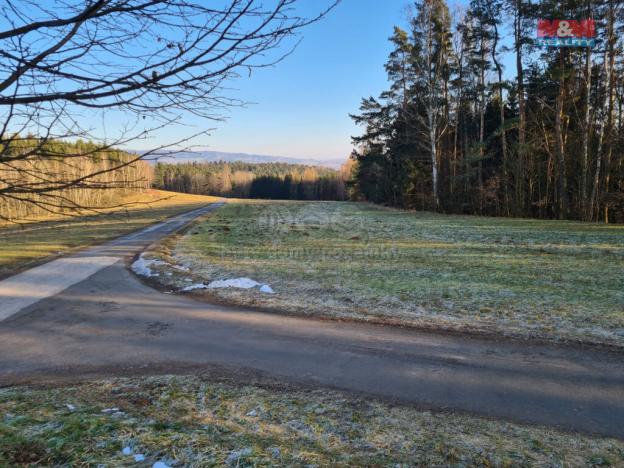 Prodej louky, Batňovice, 1845 m2