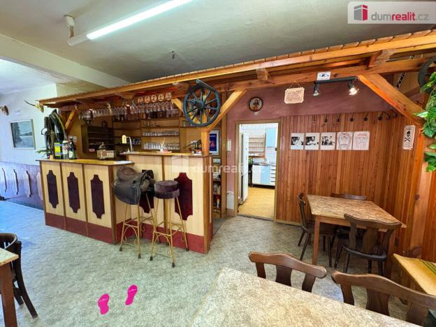 Prodej ubytování, Zvěstov - Roudný, 505 m2