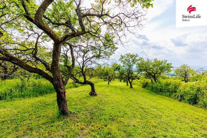 Prodej komerčního pozemku, Židlochovice, 3876 m2