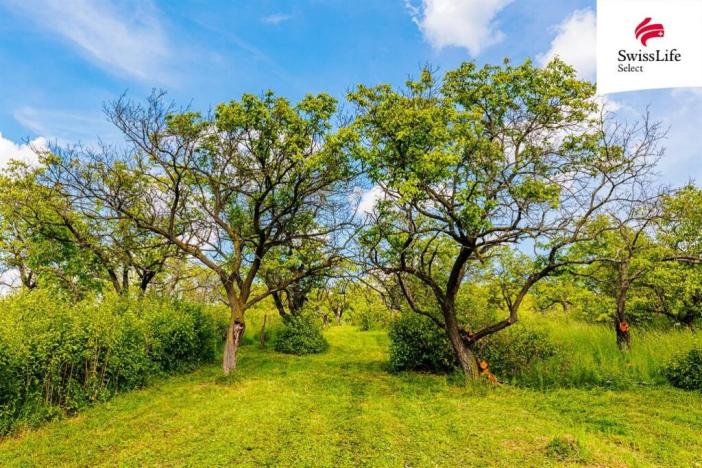 Prodej komerčního pozemku, Židlochovice, 3876 m2