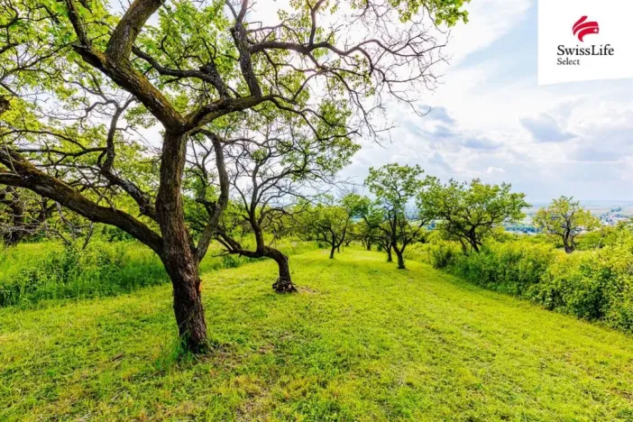 Prodej komerčního pozemku, Židlochovice, 3876 m2