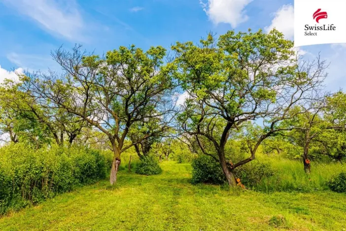Prodej komerčního pozemku, Židlochovice, 3876 m2