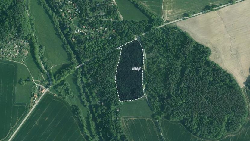 Prodej lesa, Římov, 34065 m2