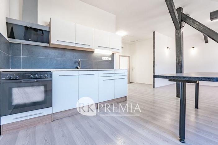 Prodej vícegeneračního domu, Ústí nad Labem - Krásné Březno, Drážďanská, 534 m2