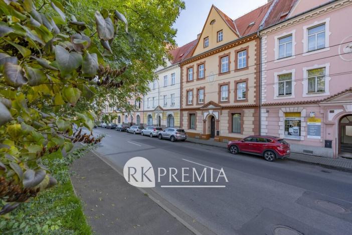 Prodej vícegeneračního domu, Ústí nad Labem - Krásné Březno, Drážďanská, 534 m2