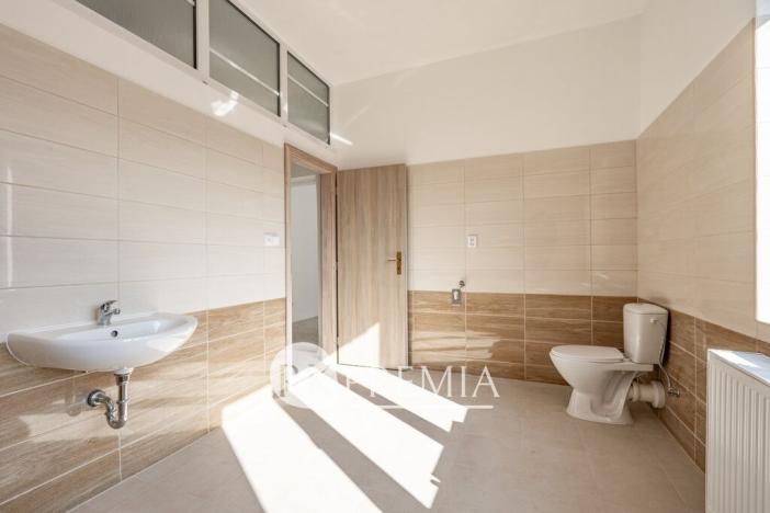 Prodej vícegeneračního domu, Ústí nad Labem - Krásné Březno, Drážďanská, 534 m2