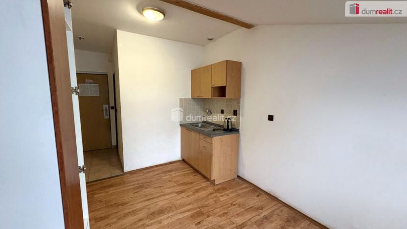 Pronájem bytu 1+kk, Suchdol, 18 m2