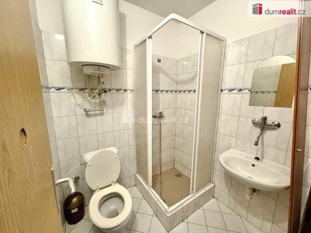 Pronájem bytu 1+kk, Suchdol, 18 m2