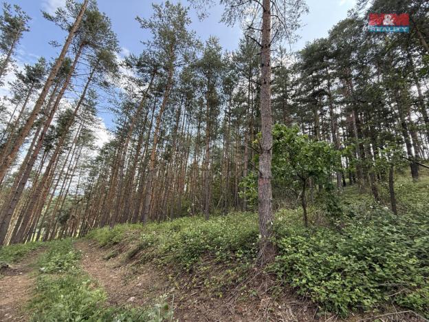 Prodej lesa, Chotilsko - Prostřední Lhota, 3372 m2