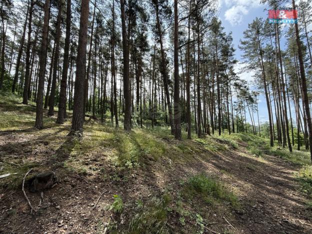 Prodej lesa, Chotilsko - Prostřední Lhota, 3372 m2