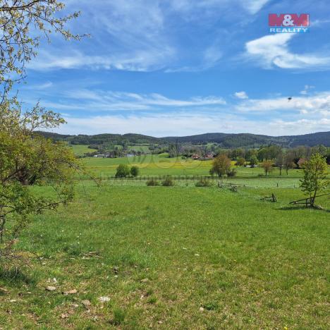 Prodej louky, Zdíkov - Masákova Lhota, 5959 m2