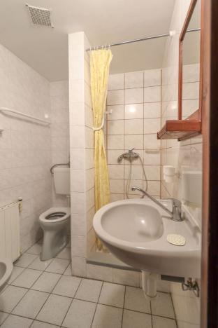 Prodej ubytování, Kašperské Hory - Červená, 550 m2