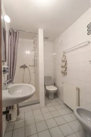 Prodej ubytování, Kašperské Hory - Červená, 550 m2