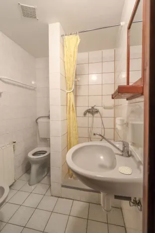 Prodej ubytování, Kašperské Hory - Červená, 550 m2