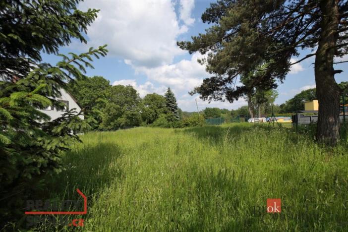 Prodej pozemku pro bydlení, Nové Město pod Smrkem, 84 m2