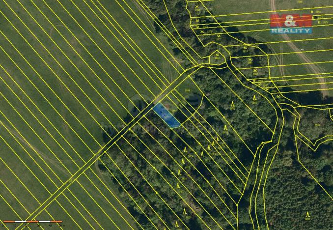 Prodej lesa, Loukov, 1288 m2