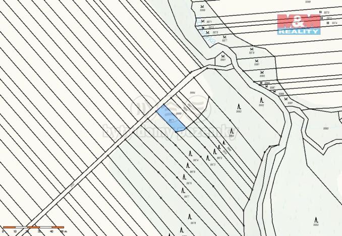 Prodej lesa, Loukov, 1288 m2