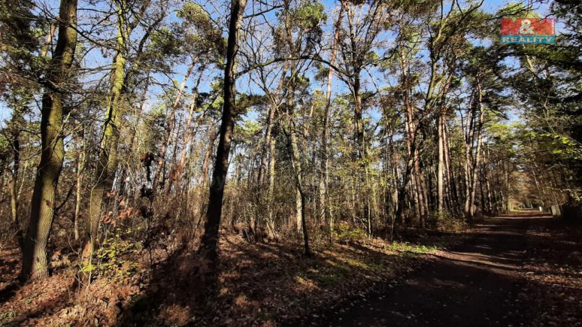 Prodej pozemku pro bydlení, Hradištko, Kersko, 3854 m2