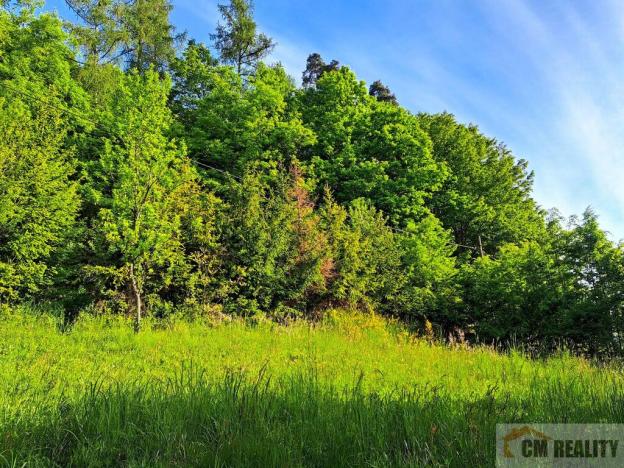 Prodej chaty, Stražisko - Maleny, 35 m2