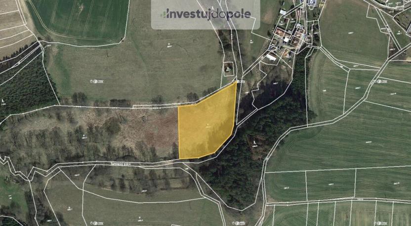 Prodej louky, Radenín - Nuzbely, 2952 m2