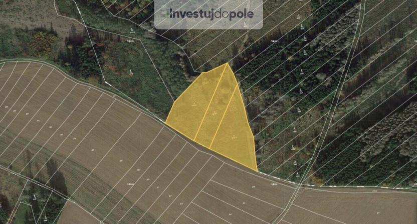 Prodej louky, Opatov, 10740 m2