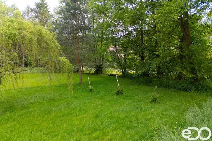 Prodej zahrady, Horní Bukovina, 1146 m2