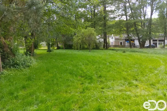 Prodej zahrady, Horní Bukovina, 1146 m2