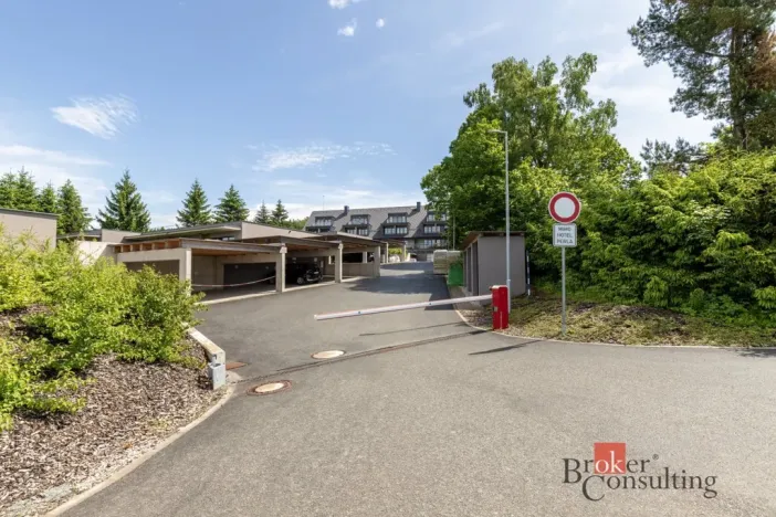 Prodej bytu 2+kk, Říčky v Orlických horách, 55 m2