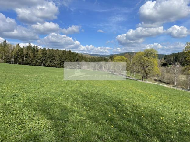 Prodej ubytování, Zbytiny - Blažejovice, 453 m2