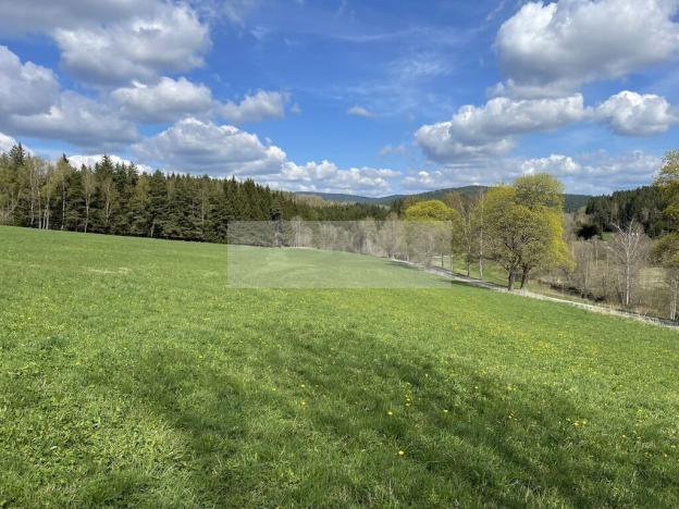 Prodej ubytování, Zbytiny - Blažejovice, 453 m2