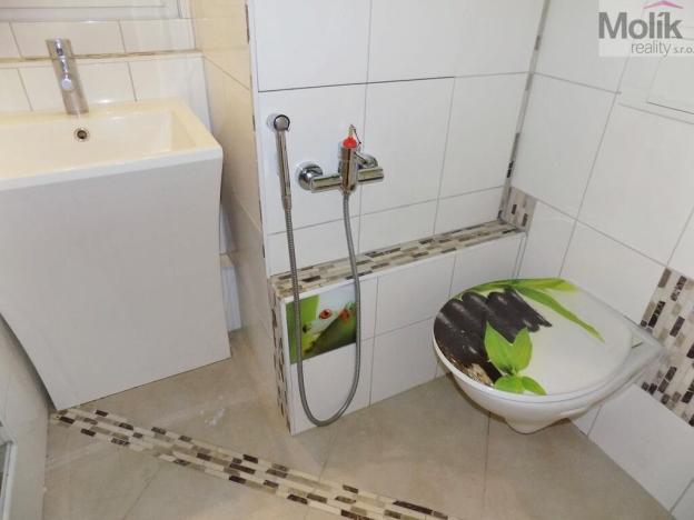 Pronájem bytu 1+1, Bílina - Pražské Předměstí, Fügnerova, 34 m2