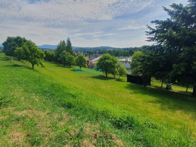 Prodej zahrady, Bludov, 2946 m2