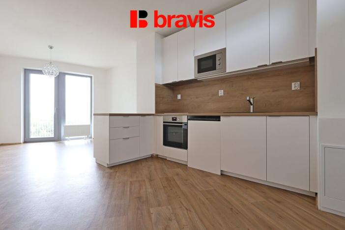 Pronájem bytu 2+kk, Brno - Horní Heršpice, Řepova, 56 m2