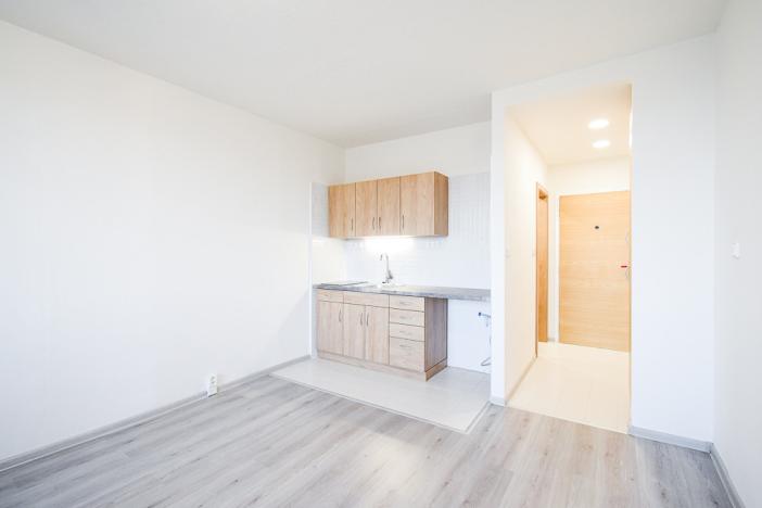 Pronájem bytu 1+kk, Brno - Bystrc, Opálkova, 27 m2